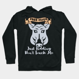 Free Hugs Just Kidding Don't Touch Me Hoodie